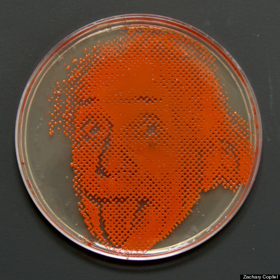 Blending Bacteria And Photography = Bacteriography